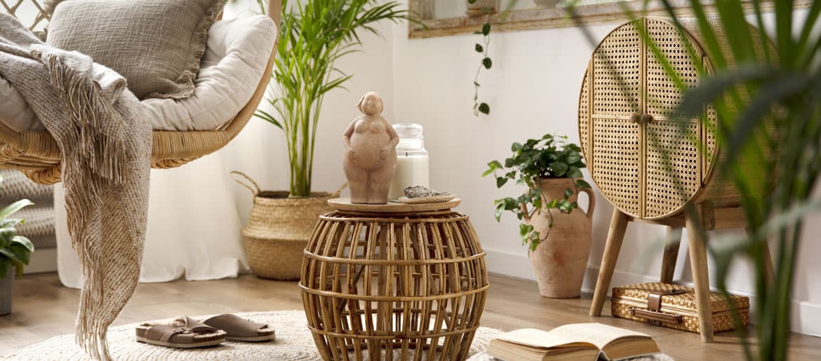 Guia Completo de Plantas para Decoração Boho: Espécies e Cuidados