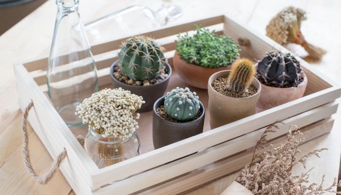 DIY Sustentável: Transforme Objetos em Peças de Decoração Únicas