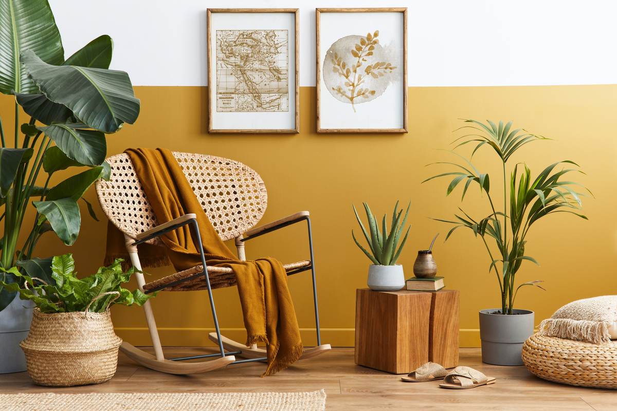 As Melhores Lojas Online para Comprar Decoração Eco-friendly