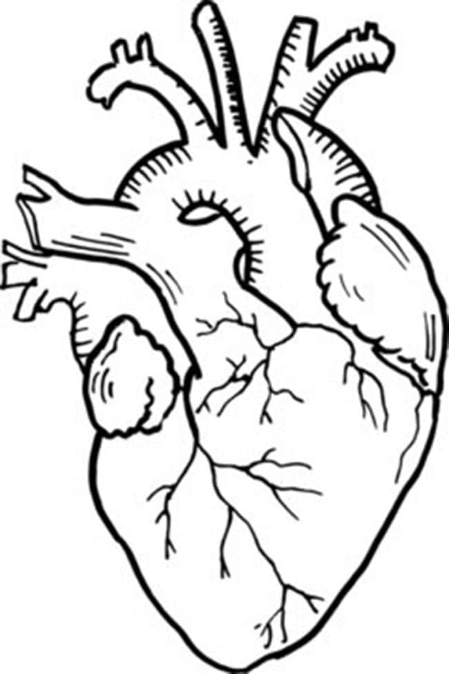 ferramentas baratas para desenhar coracao