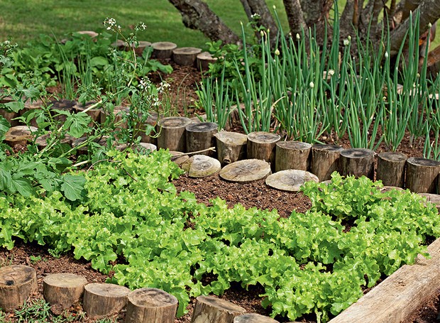 dicas de jardinagem para hortalias