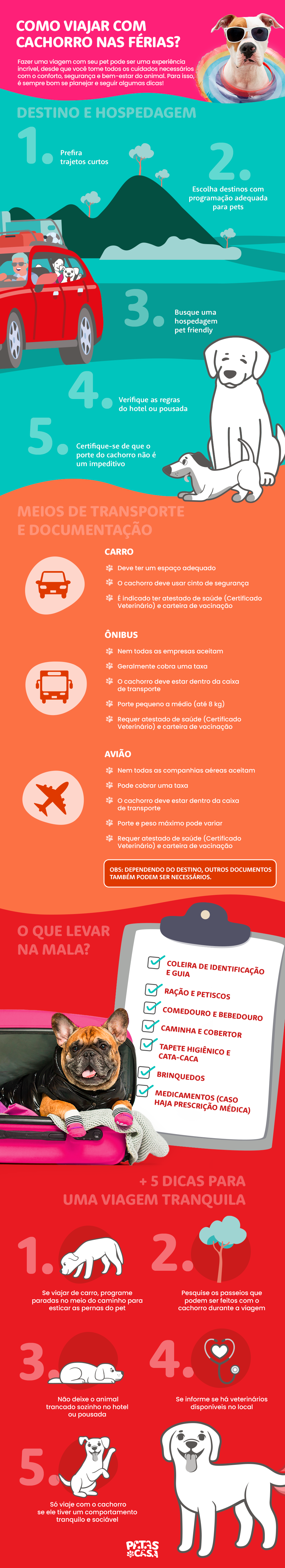 dicas para viajar com animais de estimacao