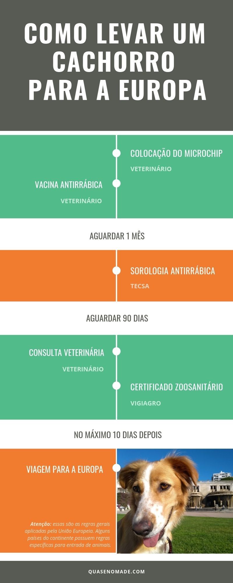 dicas para viajar com animais de estimacao