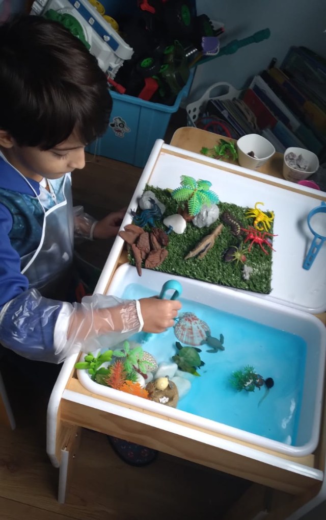 Guia Completo para Criar Seu Primeiro Diorama em Casa