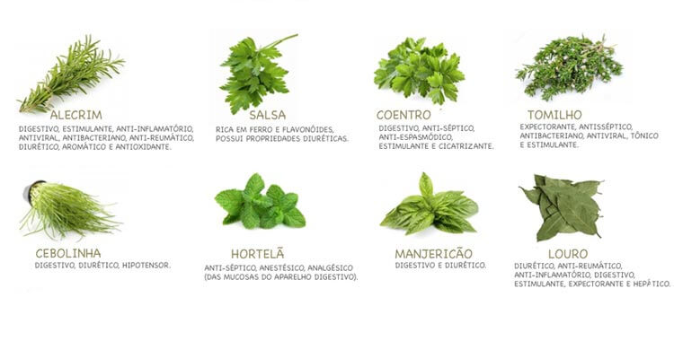 como usar ervas frescas