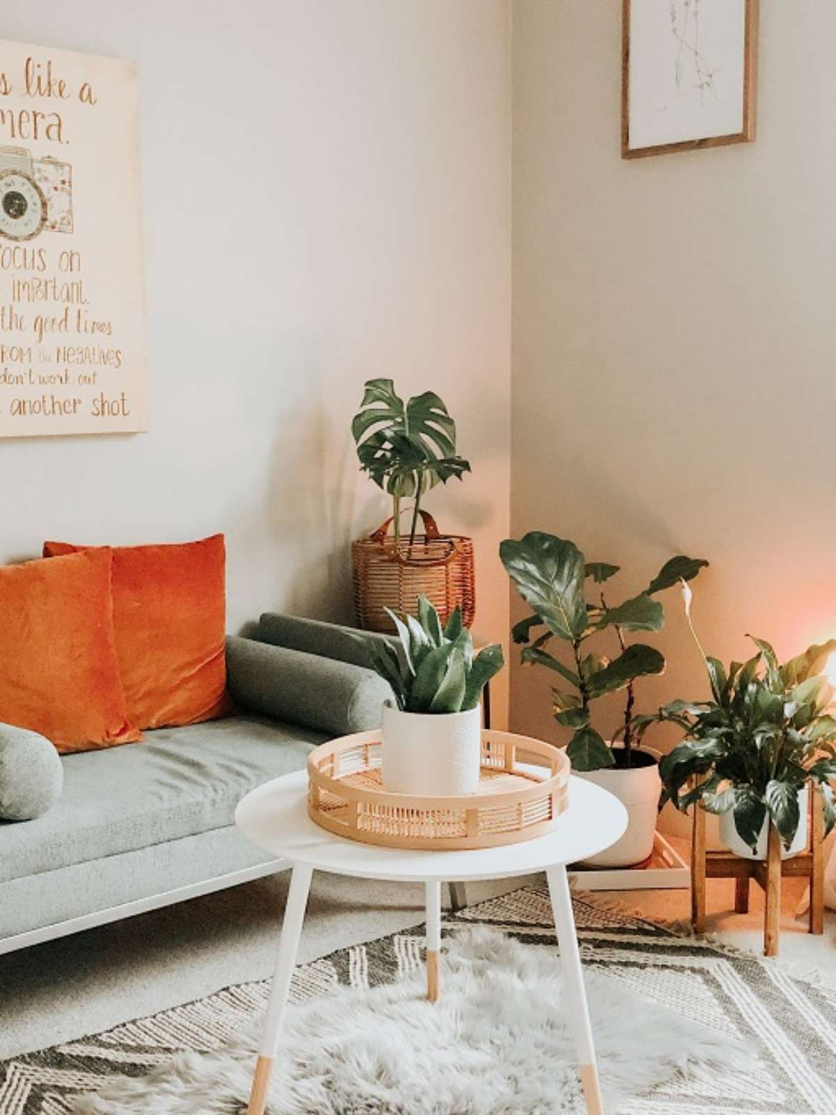 Cores no Feng Shui: Escolha a Tonalidade Certa para Cada Ambiente