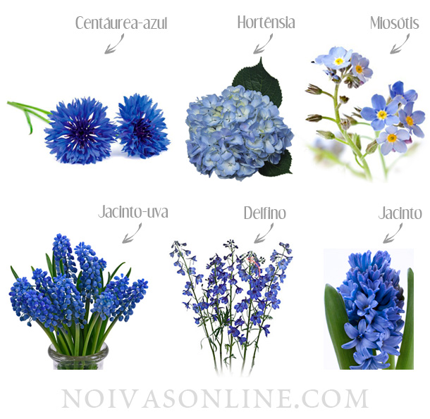 flores azuis nomes