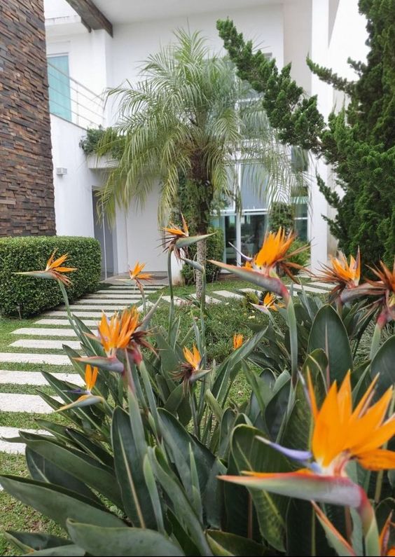 quanto custa plantar flores de jardim