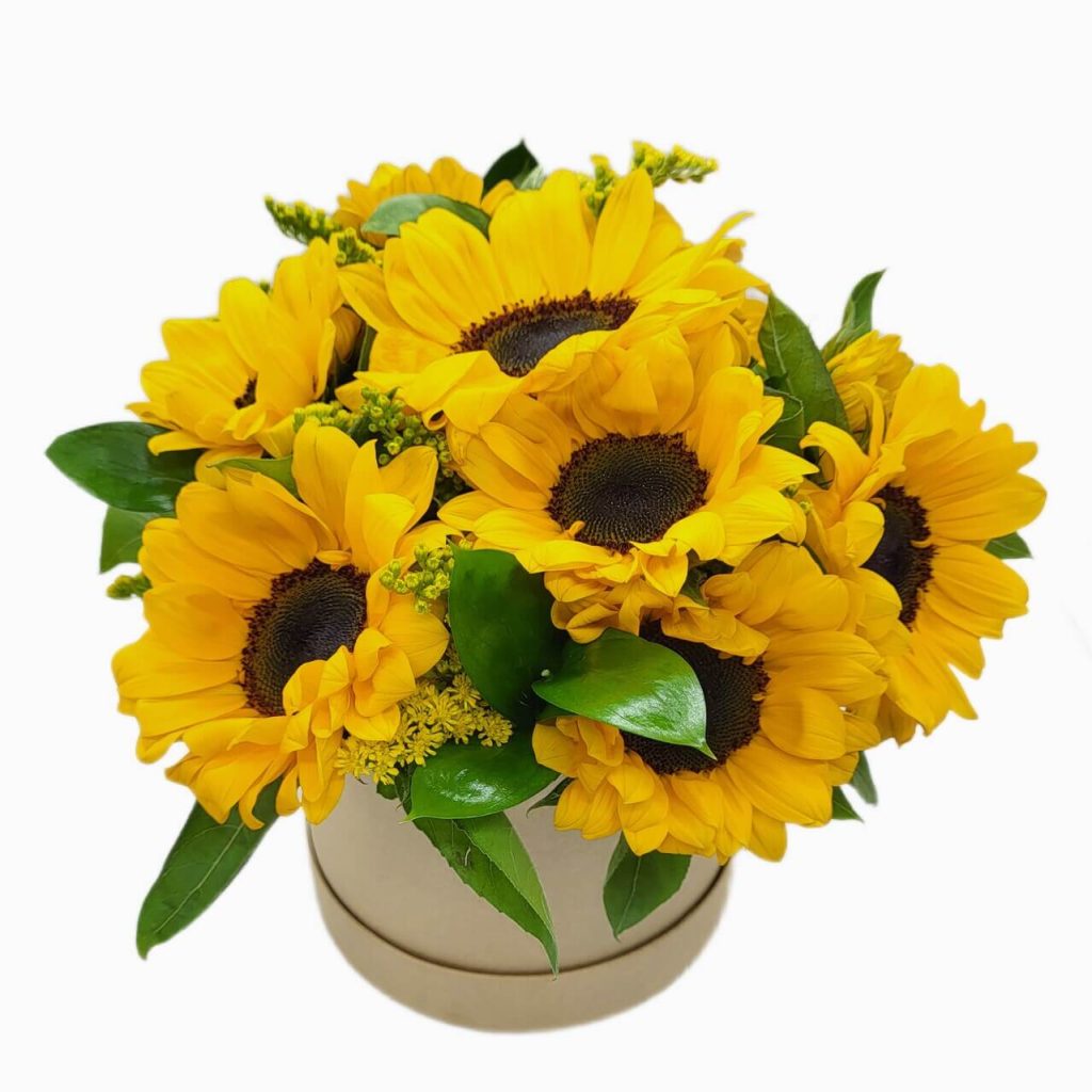 erros comuns ao cuidar de flor de maio amarela