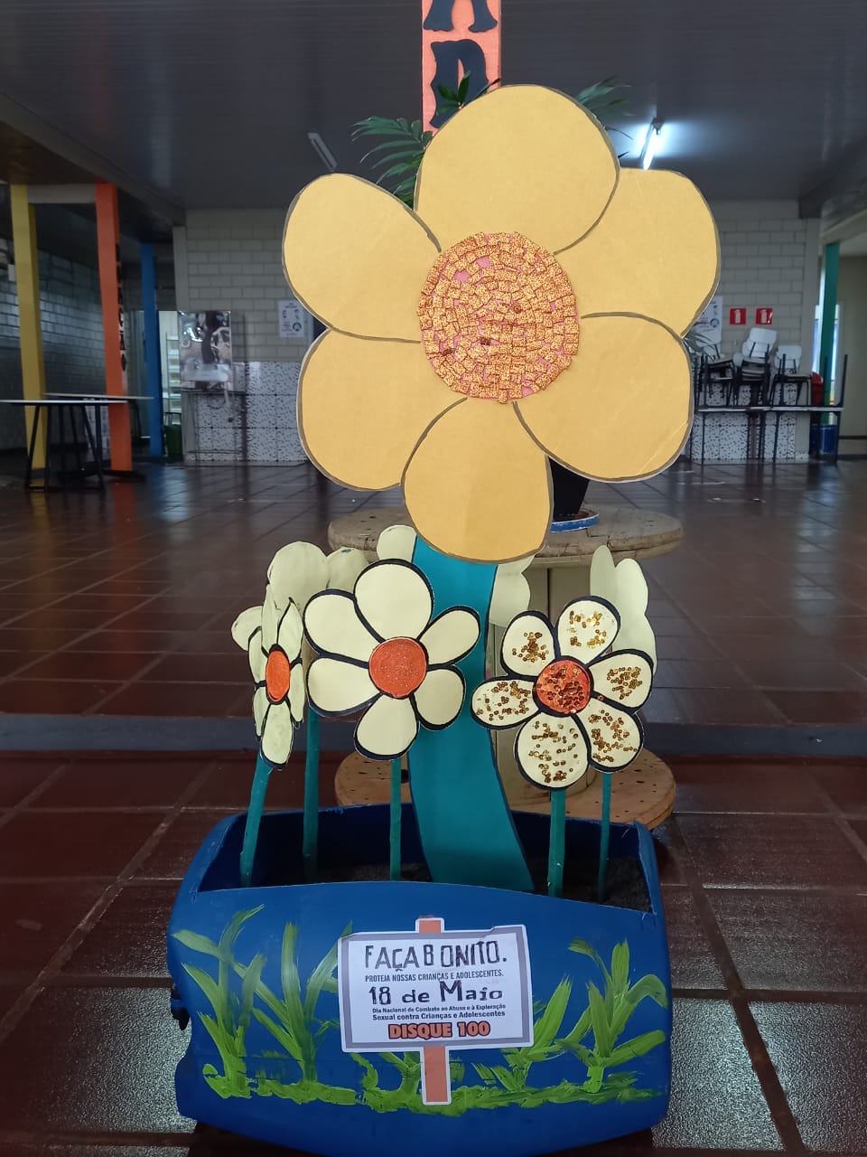 flor de maio amarela vs rosa qual escolher