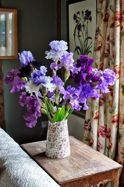 melhores flores lilas para jardim