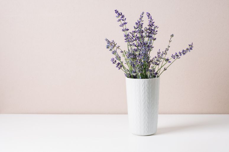 melhores flores lilas para jardim