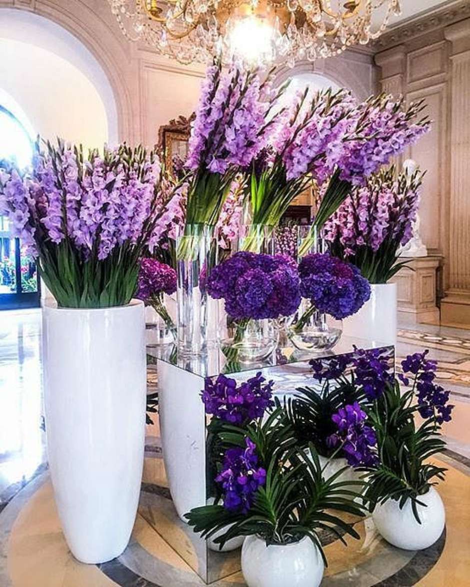 erros comuns ao cuidar de hortênsias lilás