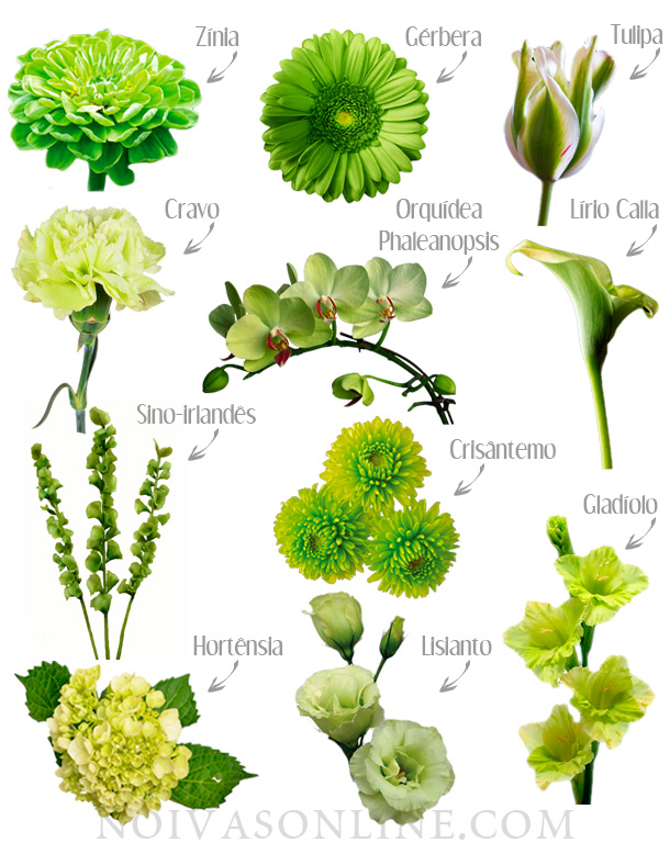significado flor verde
