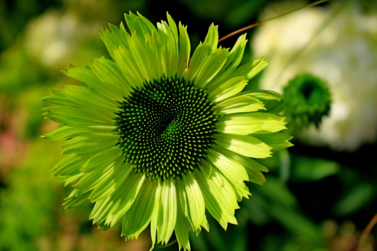 flores verdes artificiais realistas