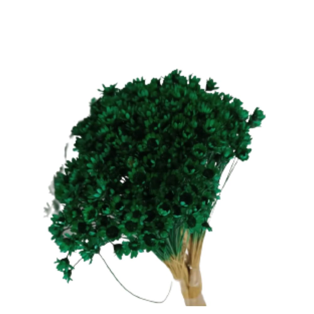 cores de flores verdes