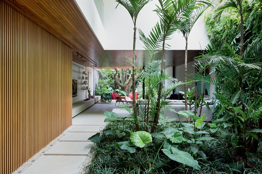 anturio versus lirio da paz para jardim de inverno