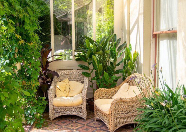 flores baratas e faceis de cuidar para jardim de inverno