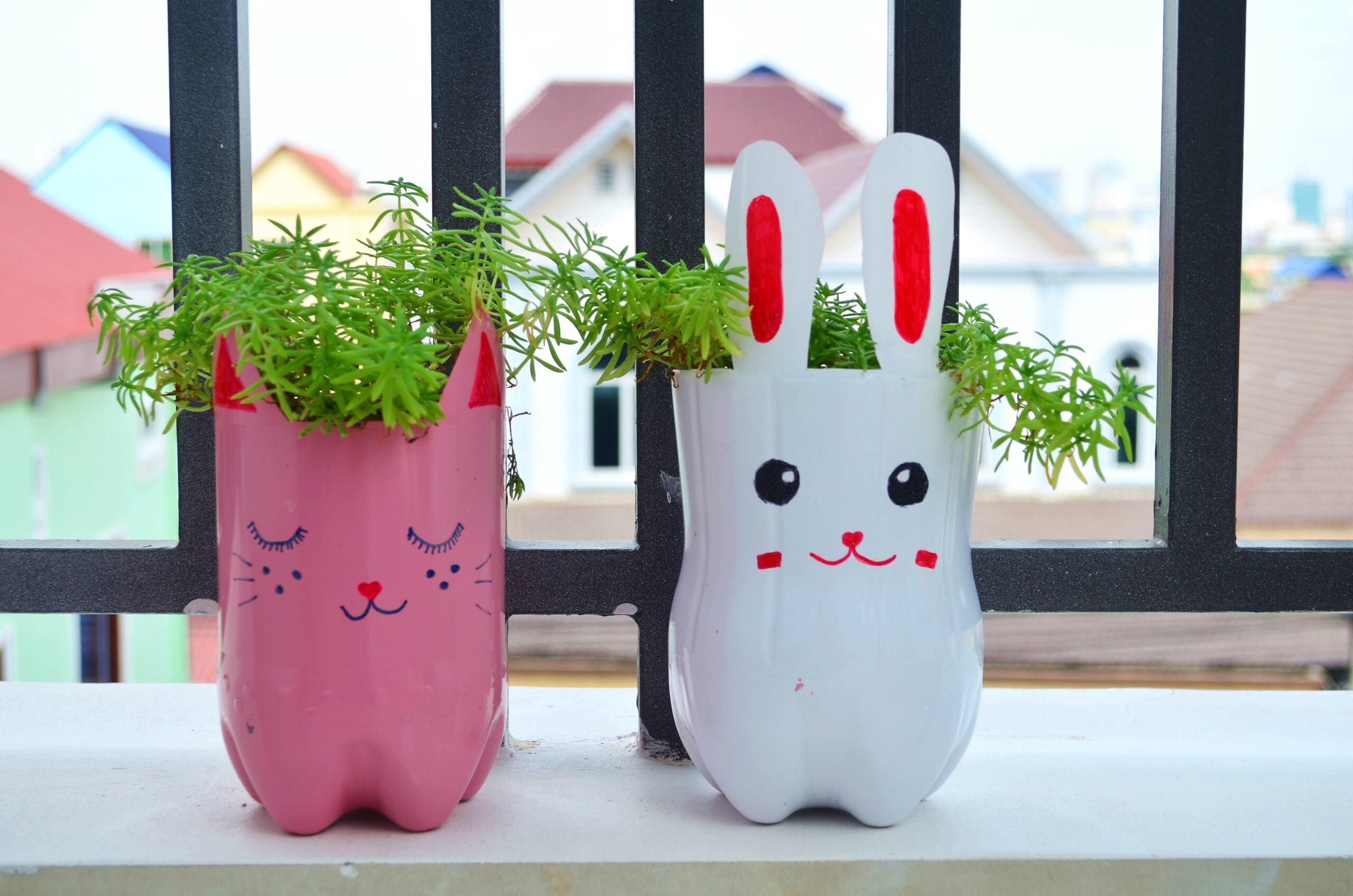 erros comuns ao plantar flores em garrafa pet