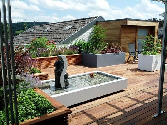 fotos de jardim moderno vs rústico