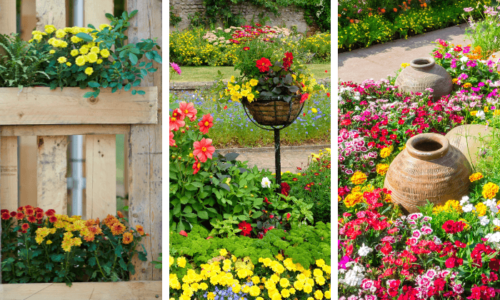 fotos de jardim com flores específicas