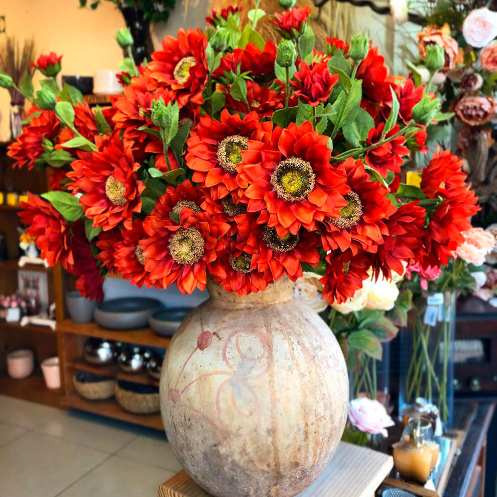 melhores dicas para plantar girassol vermelho em casa