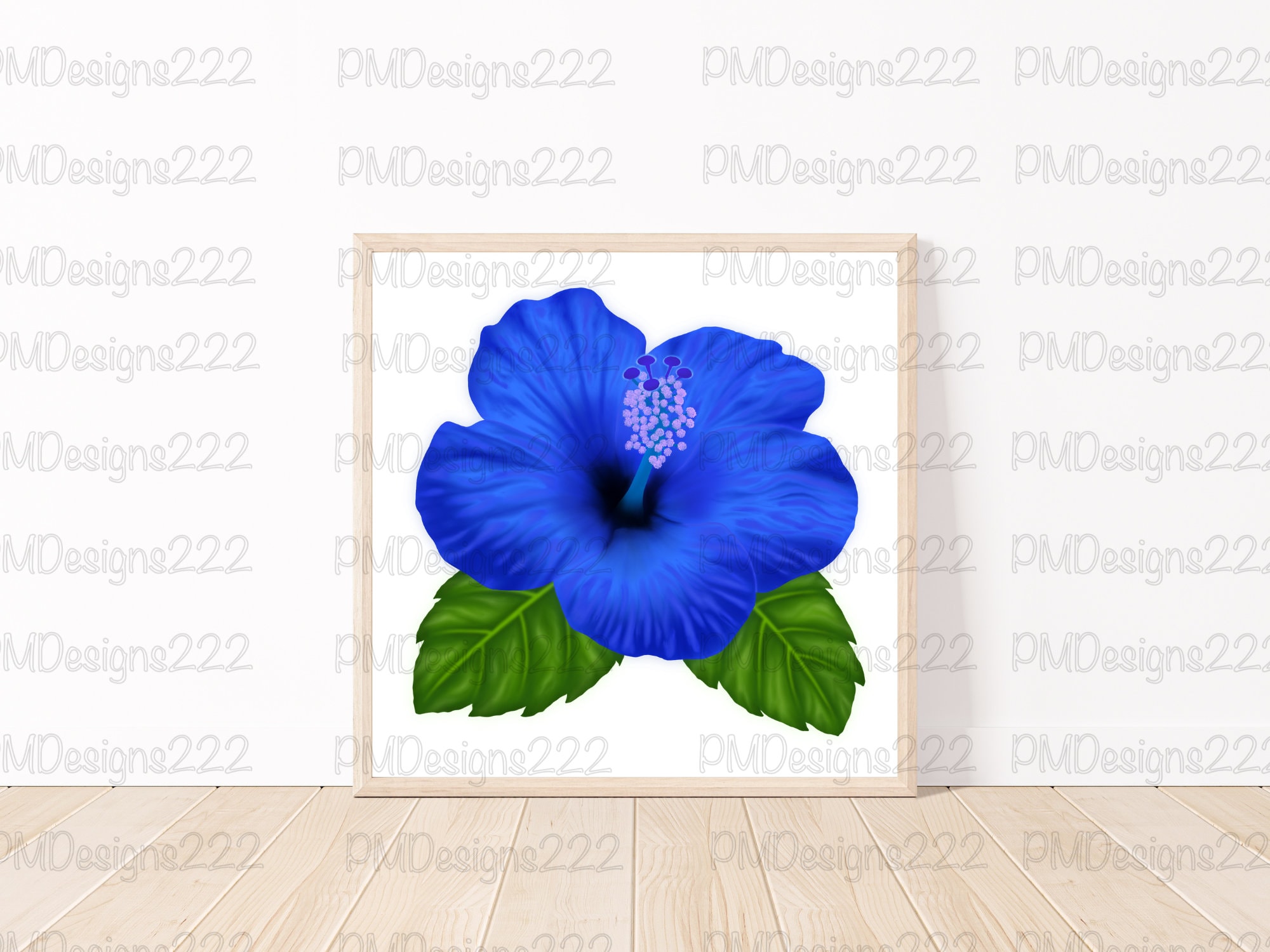 hibisco azul