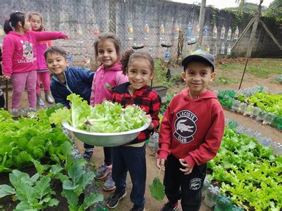 exemplos inspiradores de hortas comunitárias no brasil