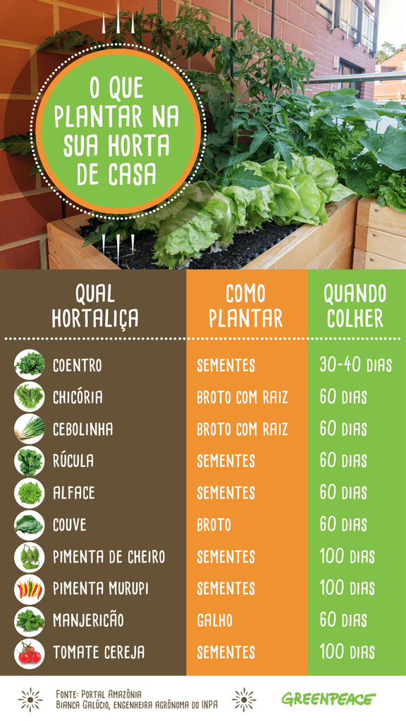 hortalicas faceis de cultivar