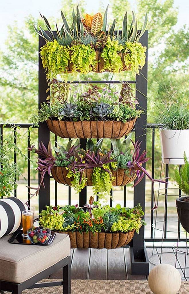 jardim no quintal com folhagens