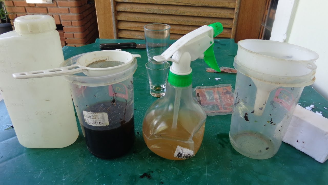 melhor inseticida caseiro para roseiras