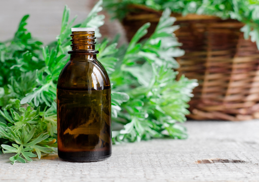 erros comuns ao fazer inseticida natural