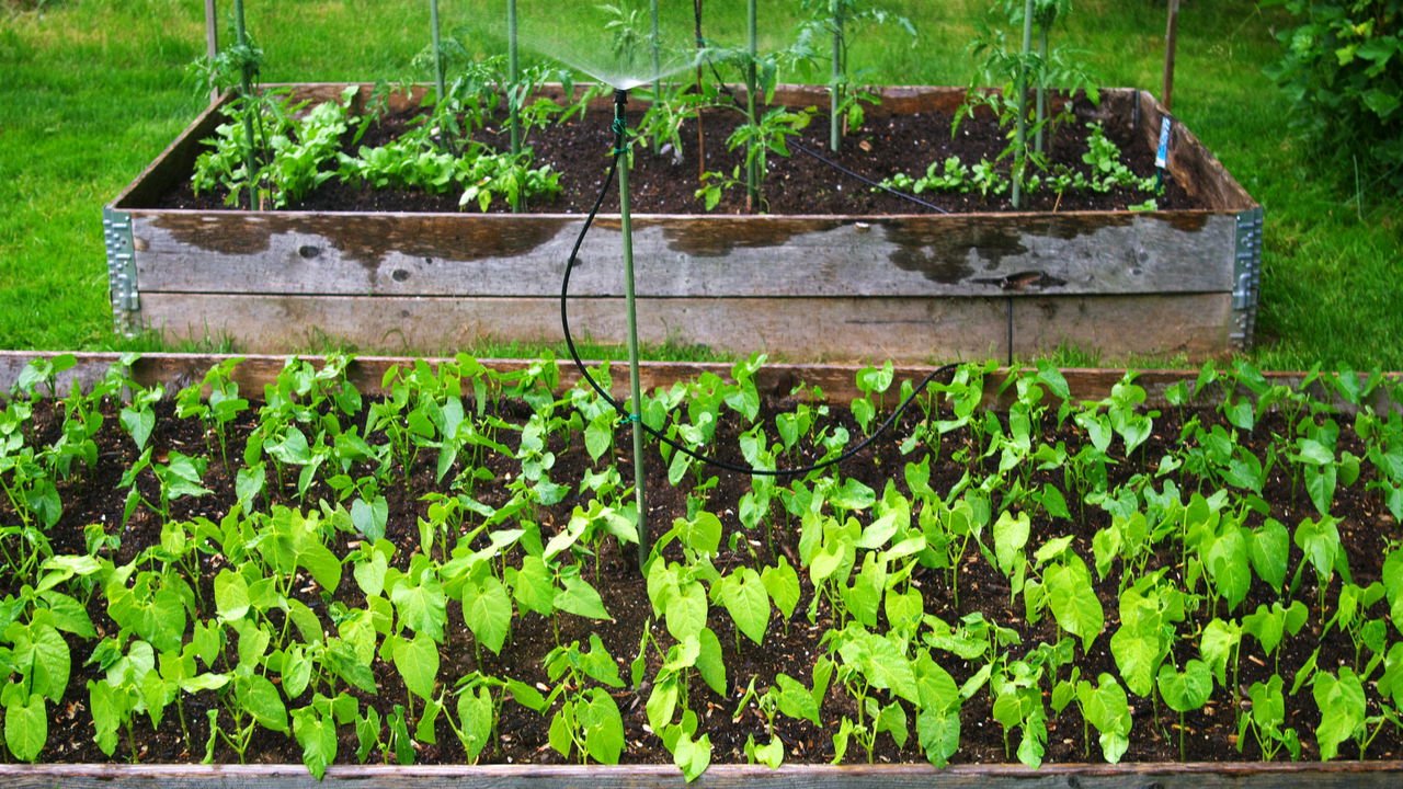 erros comuns ao instalar irrigação automática