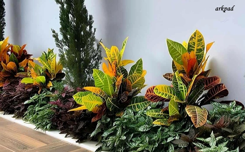 jardim canteiro de muro