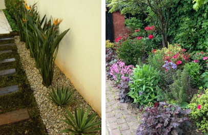 canteiro de muro vs jardim vertical qual escolher