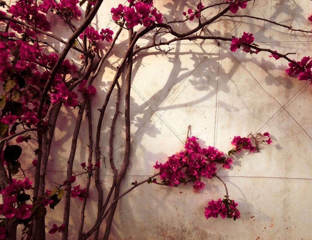 custo médio para construir canteiro de muro