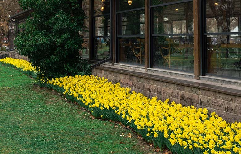 erros comuns ao montar canteiro de muro