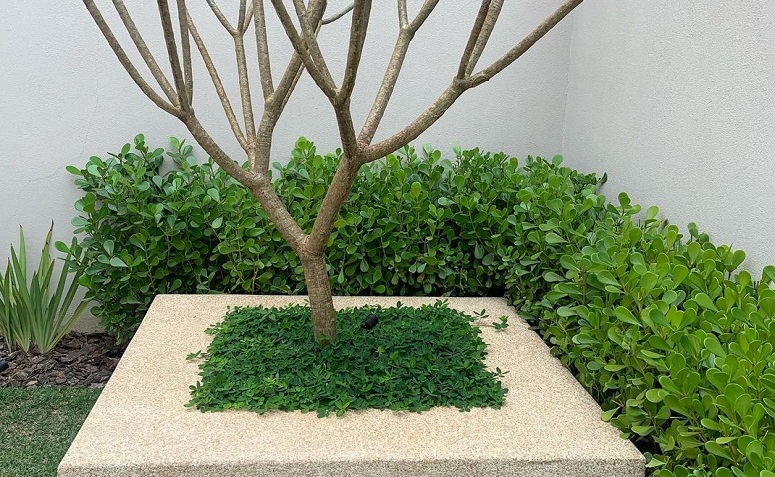 erros comuns ao montar canteiro de muro