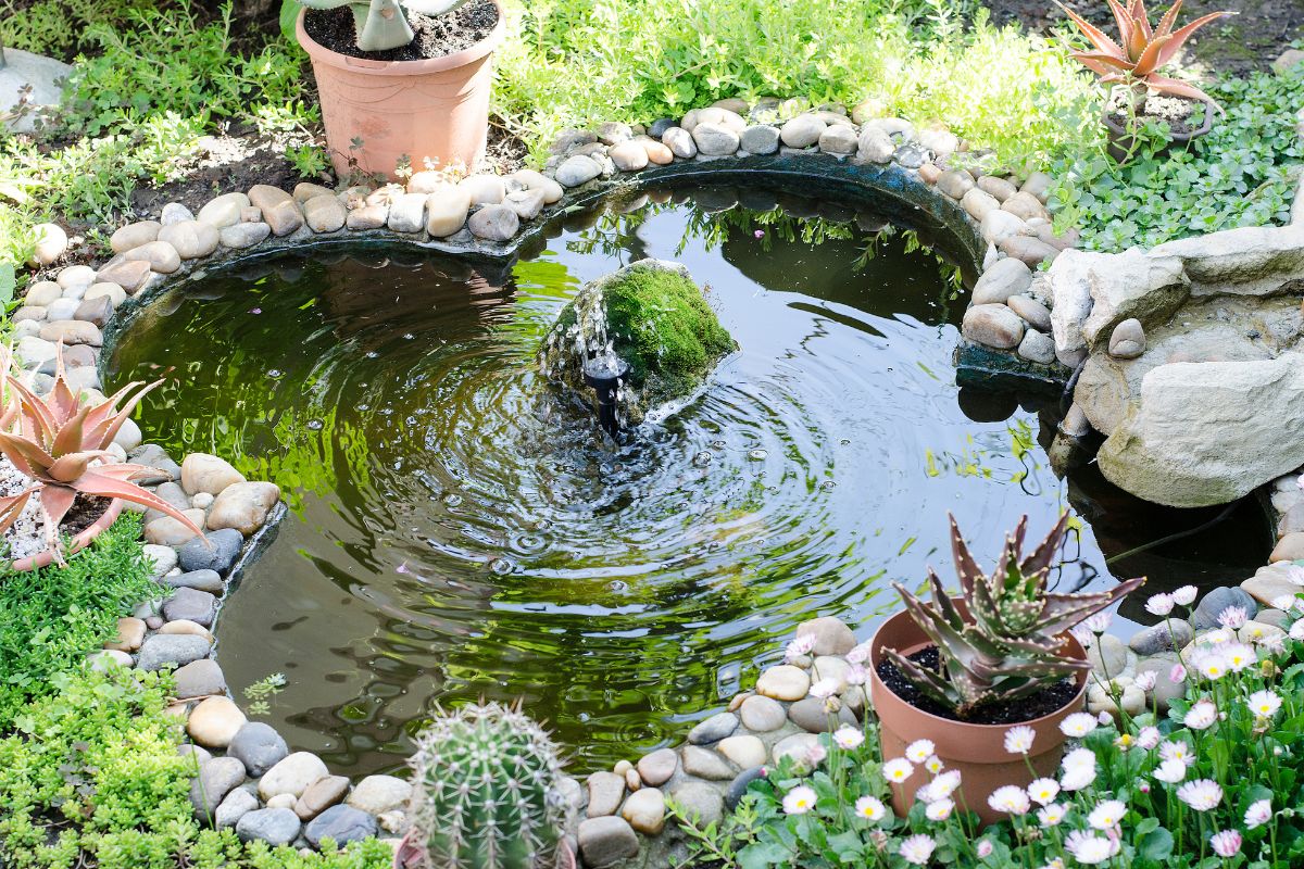 jardim moderno com pedras