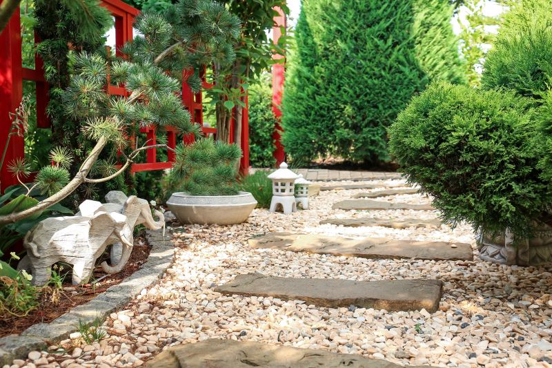 jardim com cactos e pedras