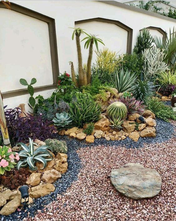 jardim de pedras e plantas