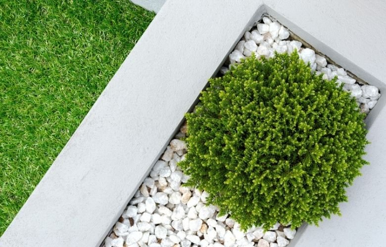 Controle de Ervas Daninhas e Estética