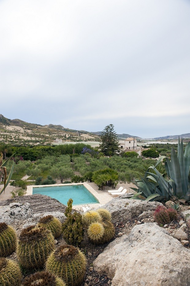 ideias criativas jardim suculentas pequeno