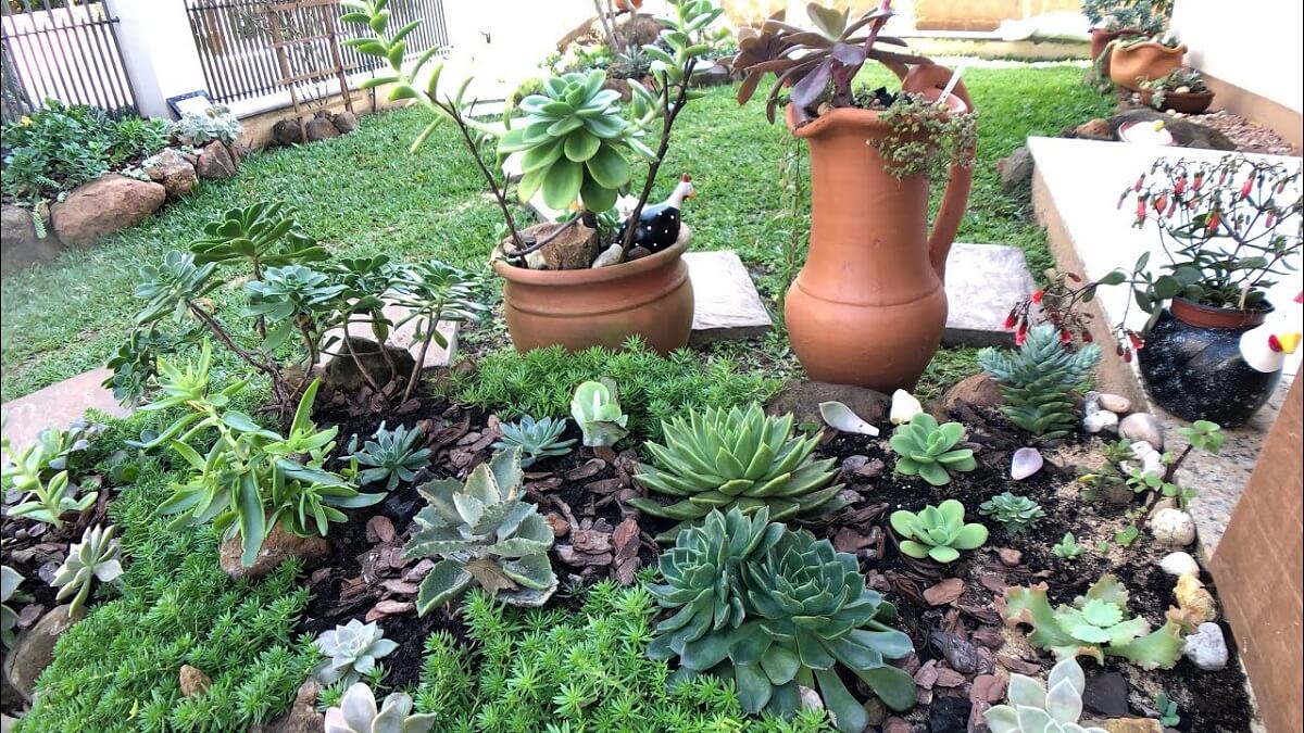 quanto custa montar um jardim de suculentas