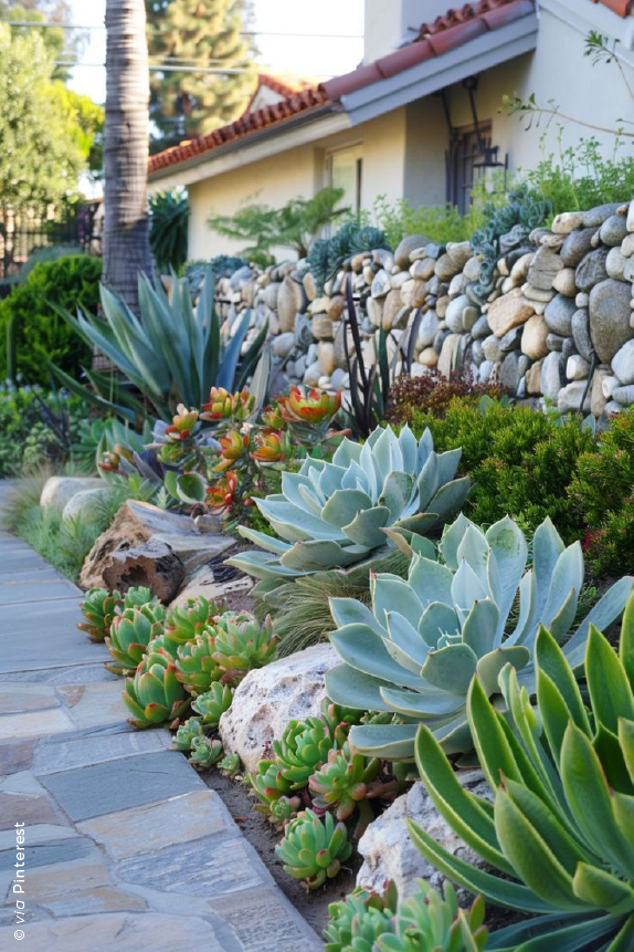 jardim suculentas no chao ou vaso qual melhor
