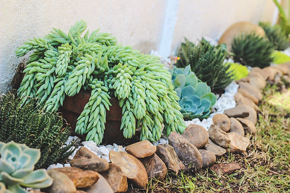 como fazer drenagem perfeita jardim suculentas