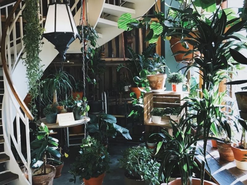 jardim embaixo da escada vs jardim de inverno