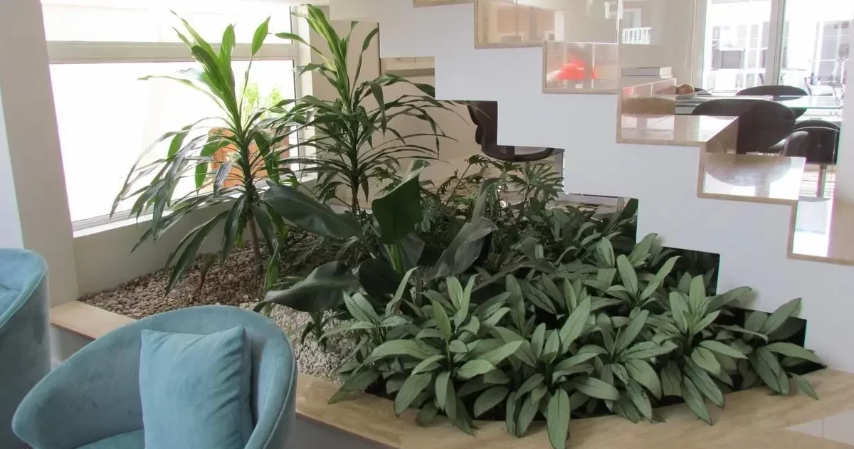 jardim embaixo da escada vs jardim de inverno