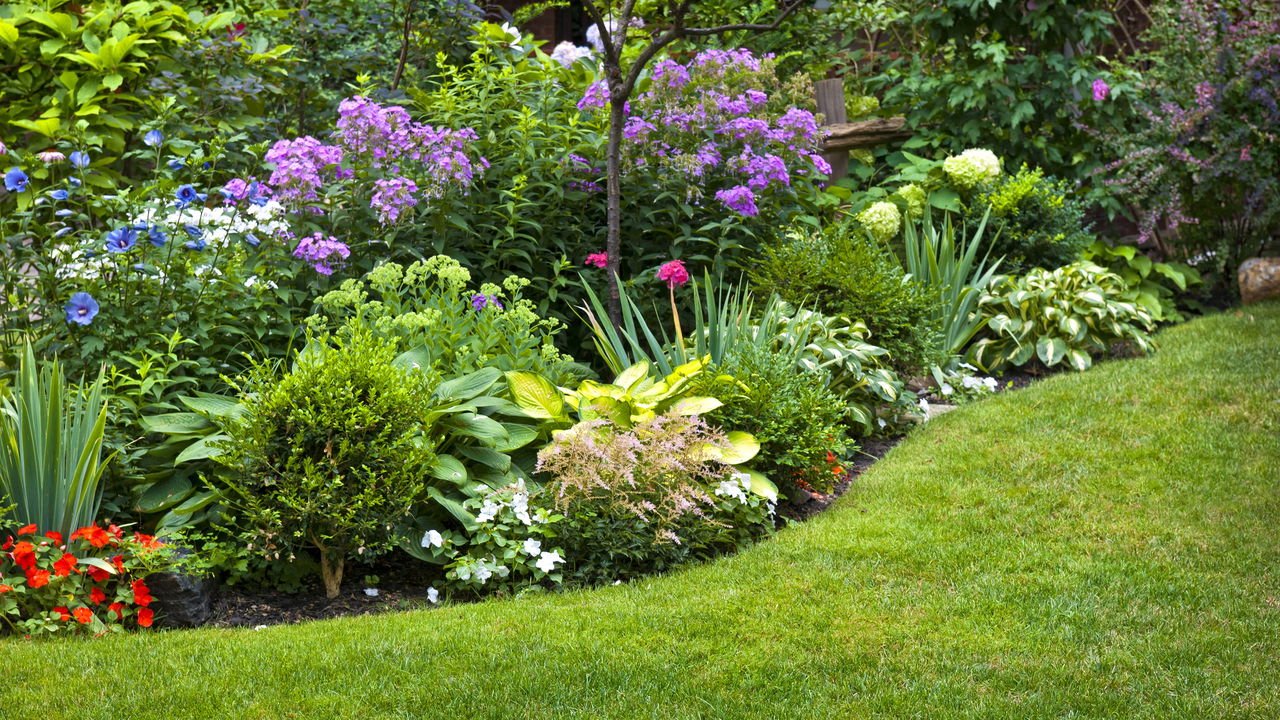 plantas para jardim florido o ano todo