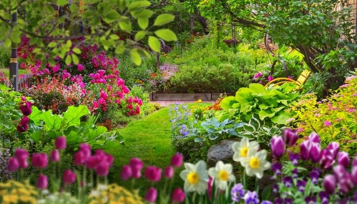 dicas de cultivo jardim florido